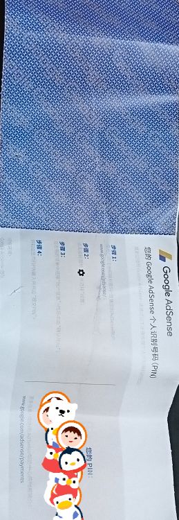 Google AdSense PIN码